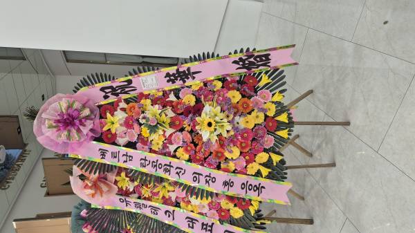업로드 이미지
