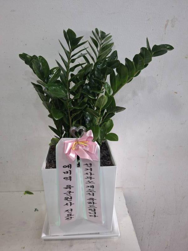 업로드 이미지