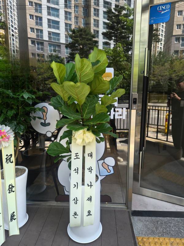 업로드 이미지
