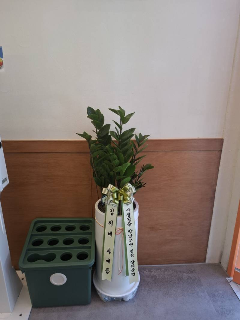 업로드 이미지
