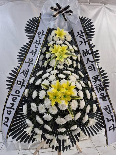 업로드 이미지