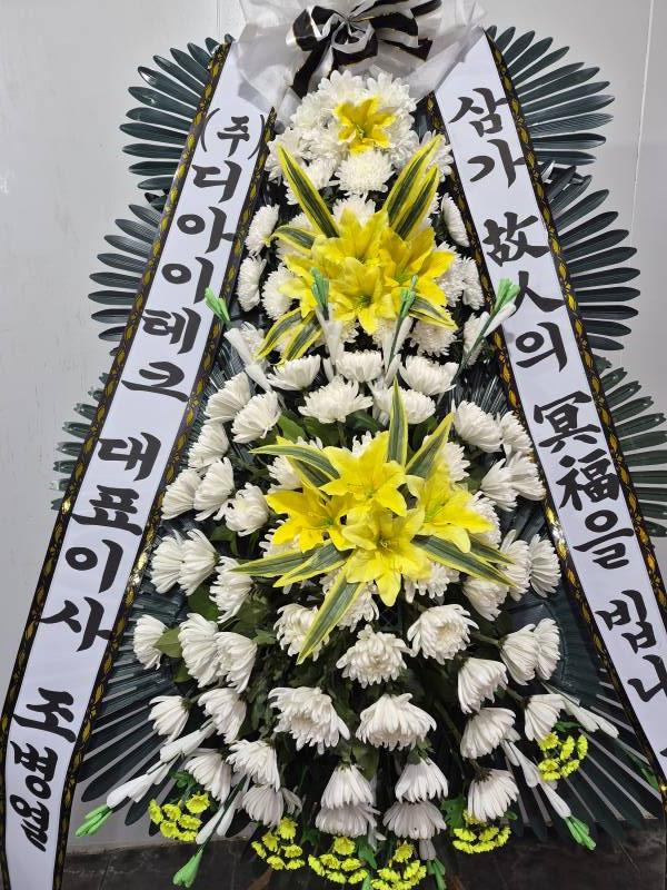 업로드 이미지