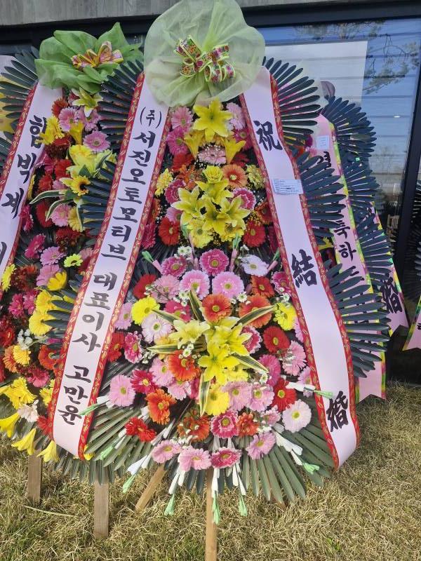 업로드 이미지