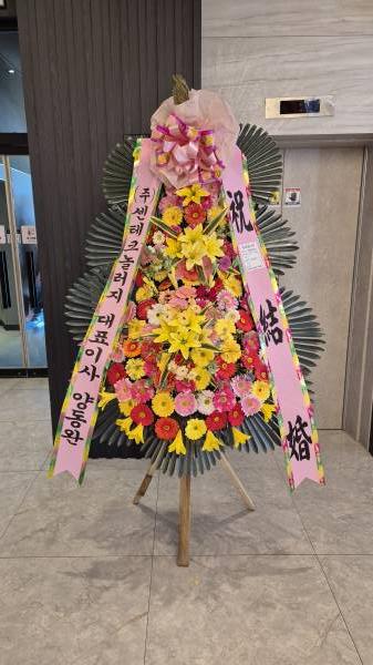 업로드 이미지