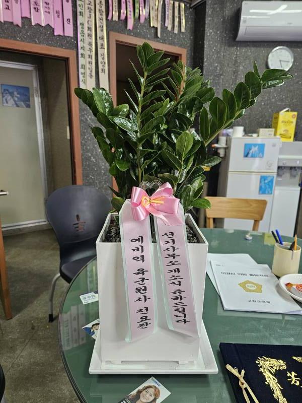 업로드 이미지