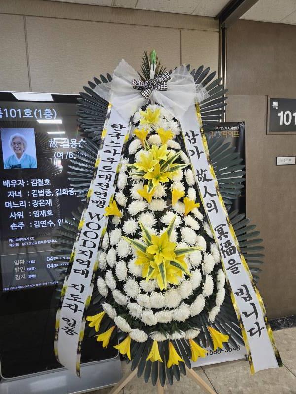 업로드 이미지