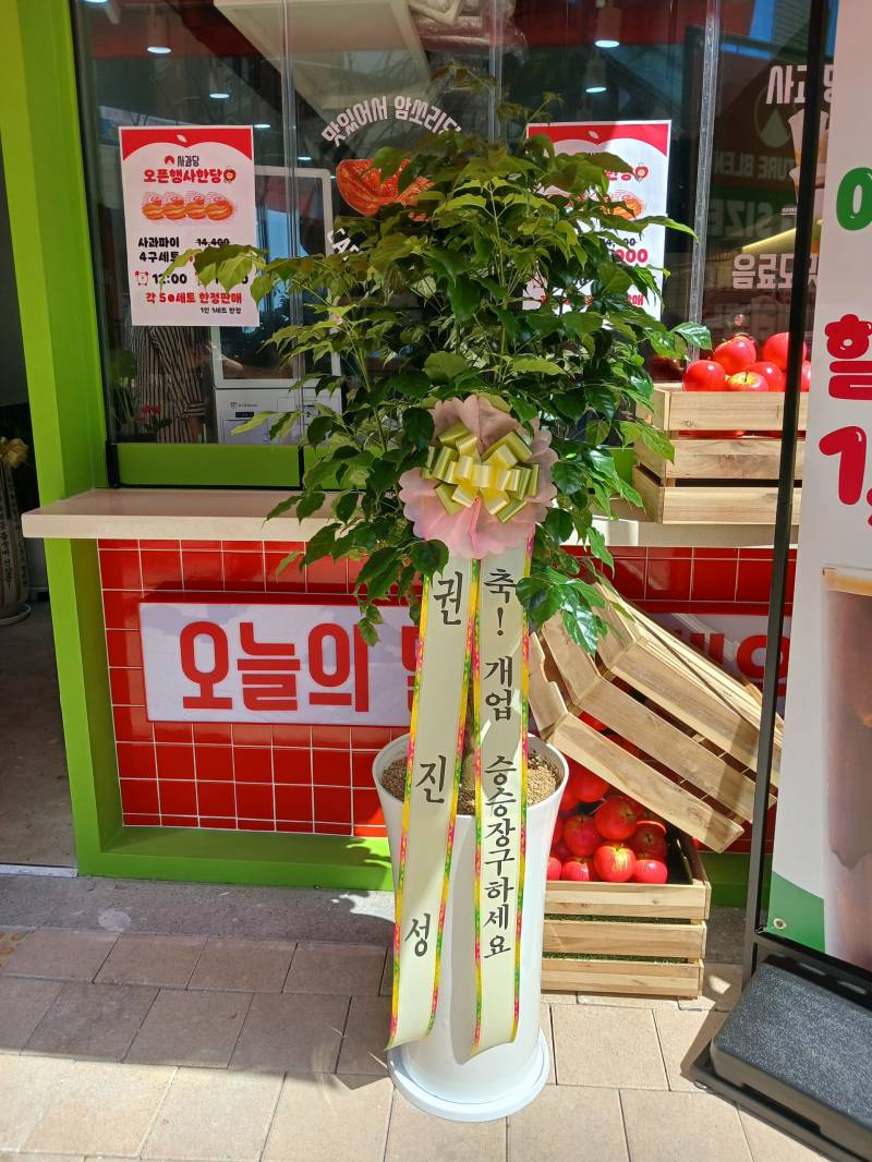 업로드 이미지