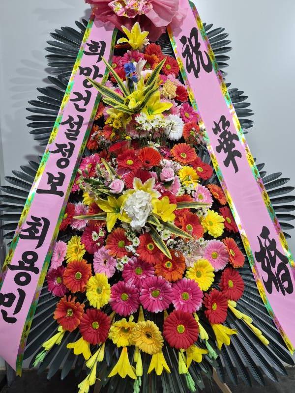 업로드 이미지