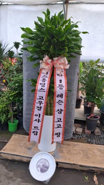 업로드 이미지