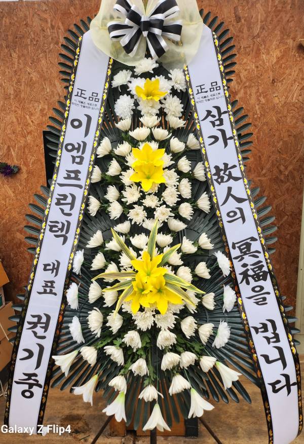 업로드 이미지