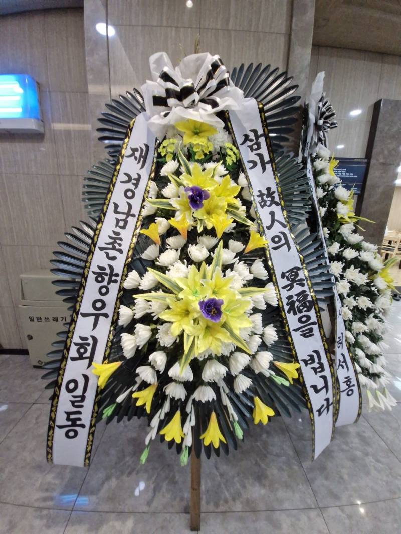 업로드 이미지