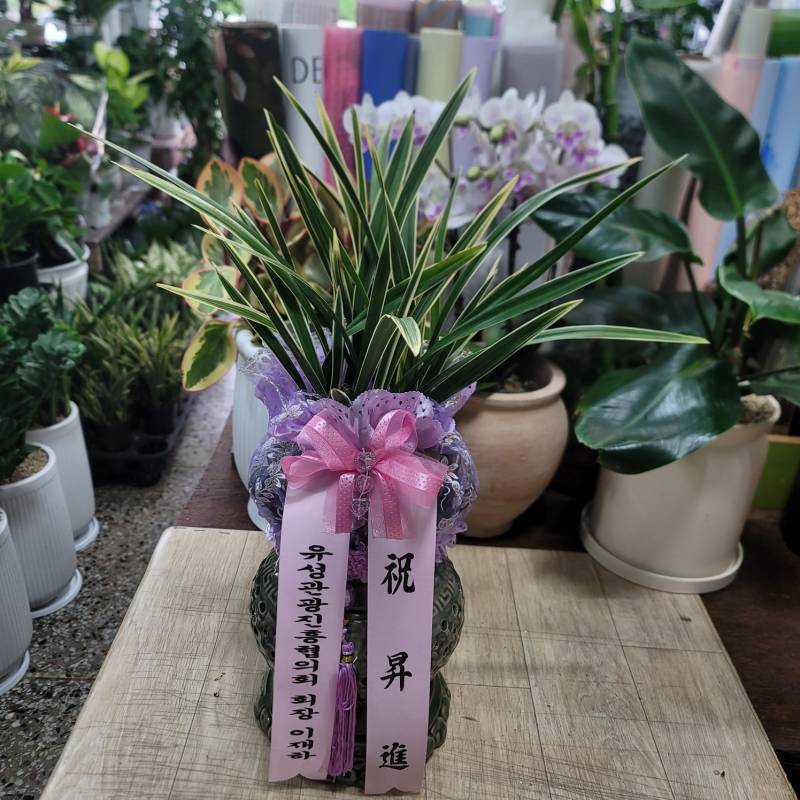 업로드 이미지
