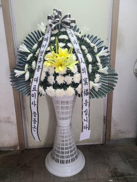 업로드 이미지