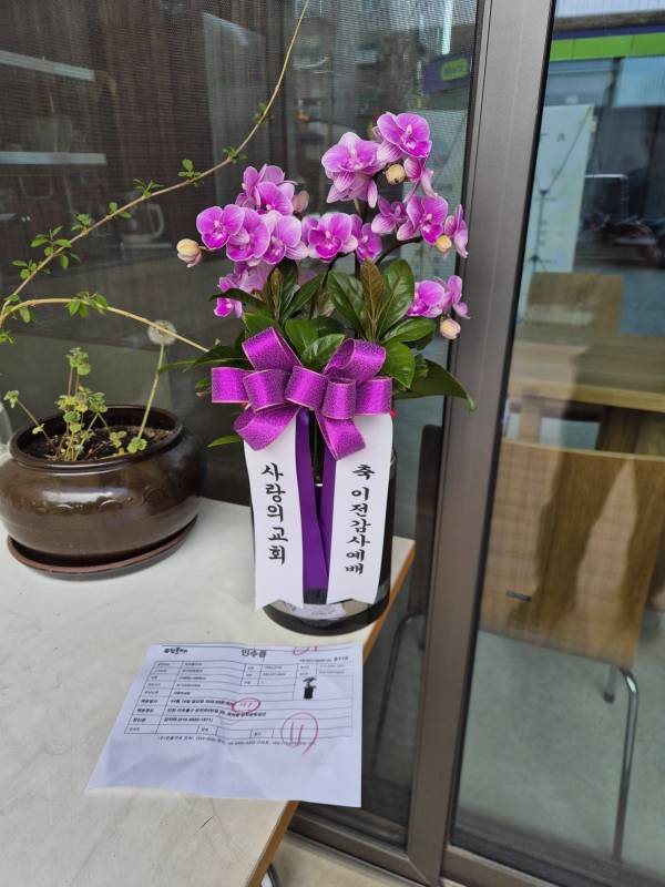 업로드 이미지