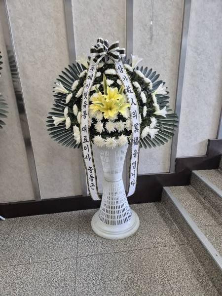 업로드 이미지