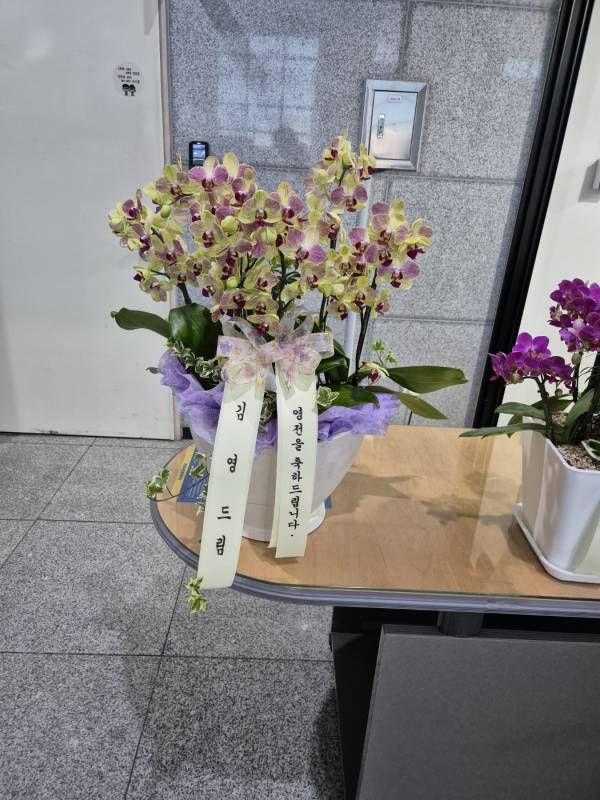 업로드 이미지