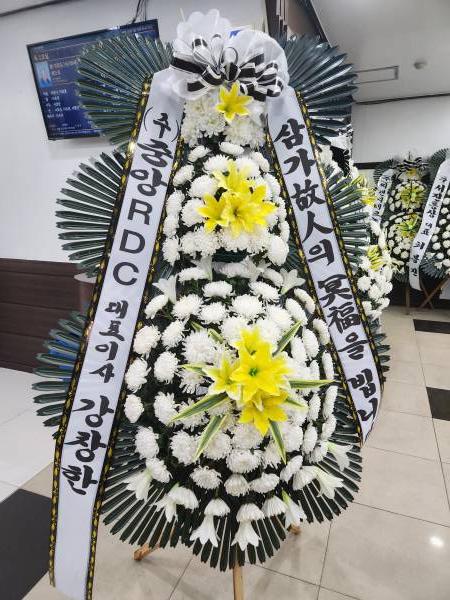 업로드 이미지