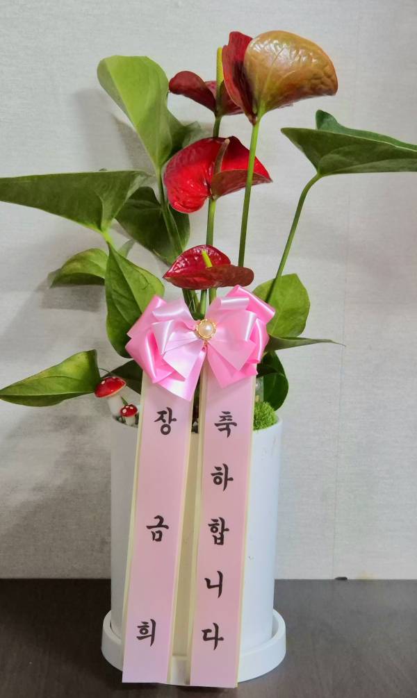 업로드 이미지