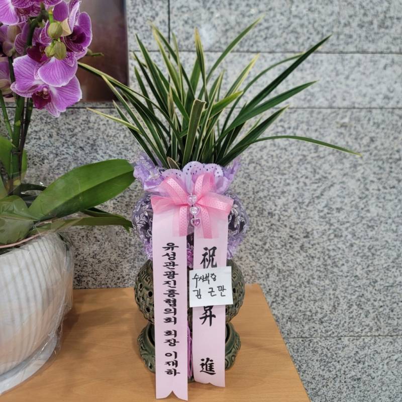 업로드 이미지