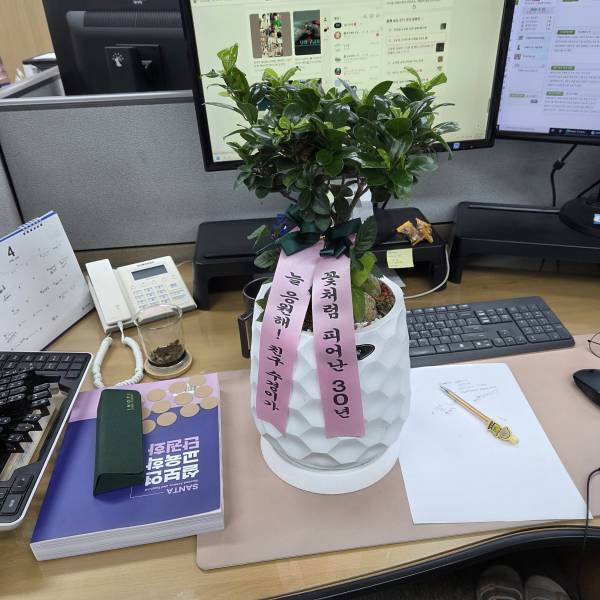 업로드 이미지