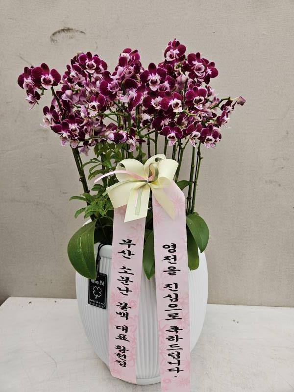 업로드 이미지