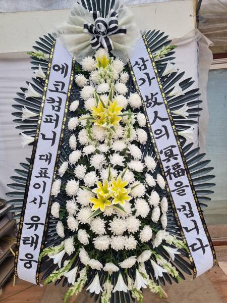 업로드 이미지