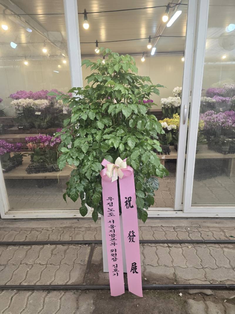 업로드 이미지