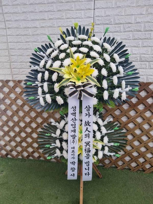 업로드 이미지