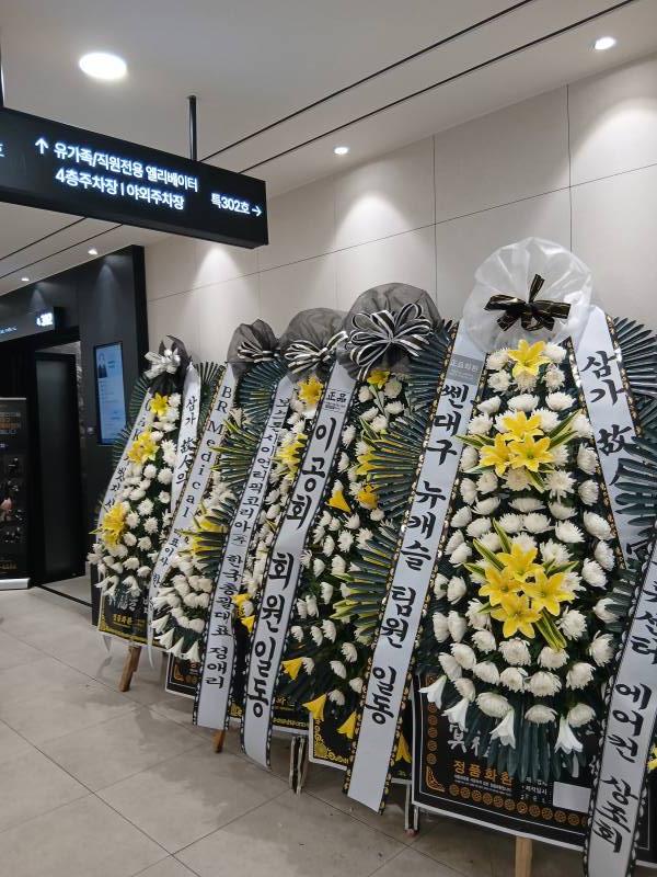 업로드 이미지