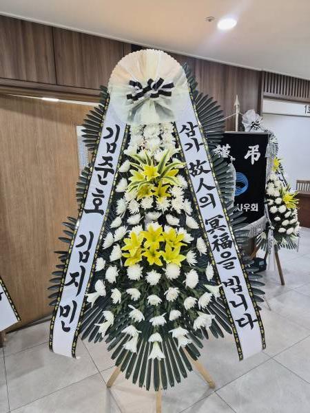 업로드 이미지