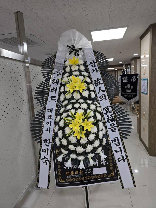 업로드 이미지