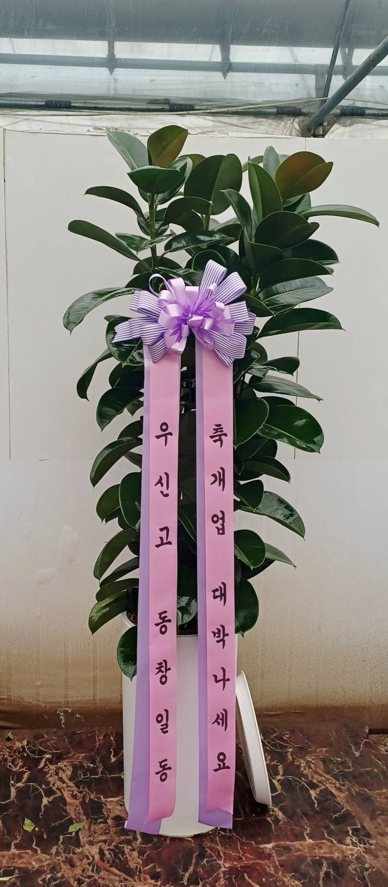 업로드 이미지
