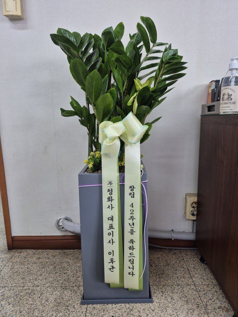 업로드 이미지