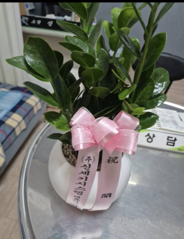 업로드 이미지