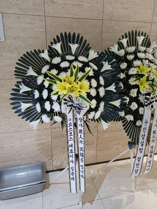 업로드 이미지