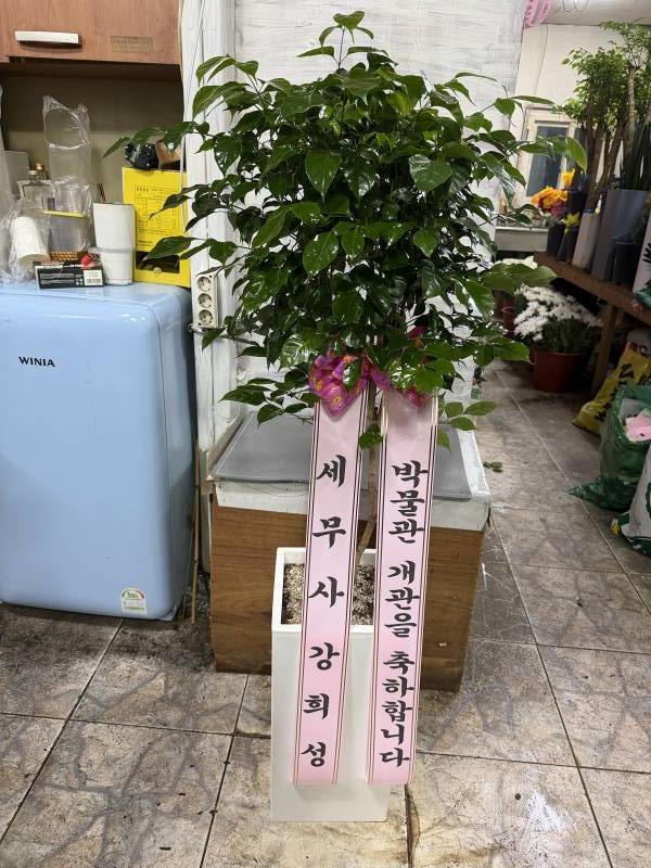 업로드 이미지