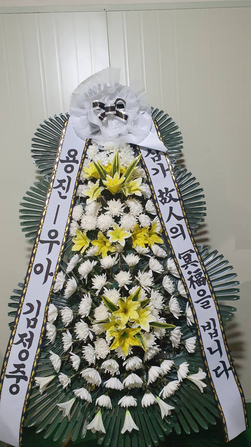 업로드 이미지