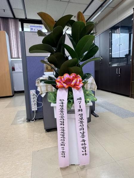 업로드 이미지