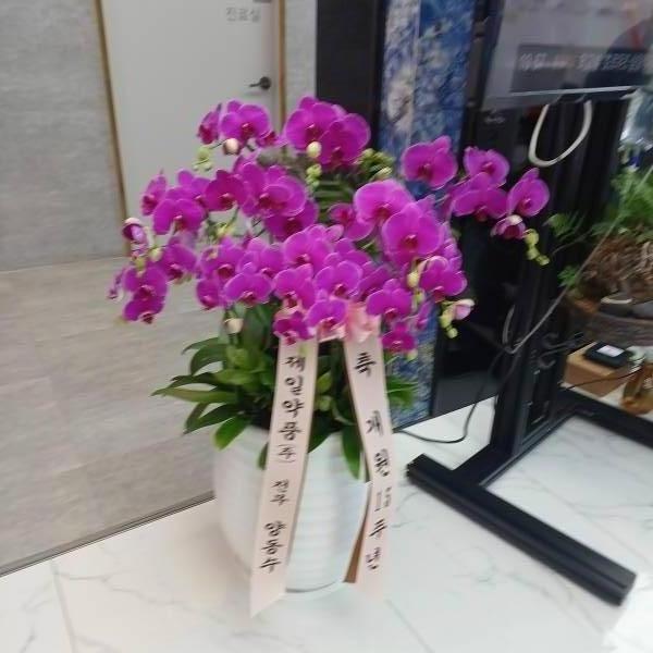 업로드 이미지