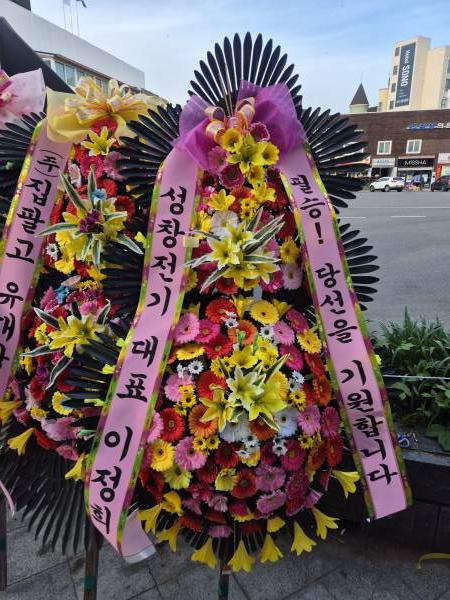 업로드 이미지