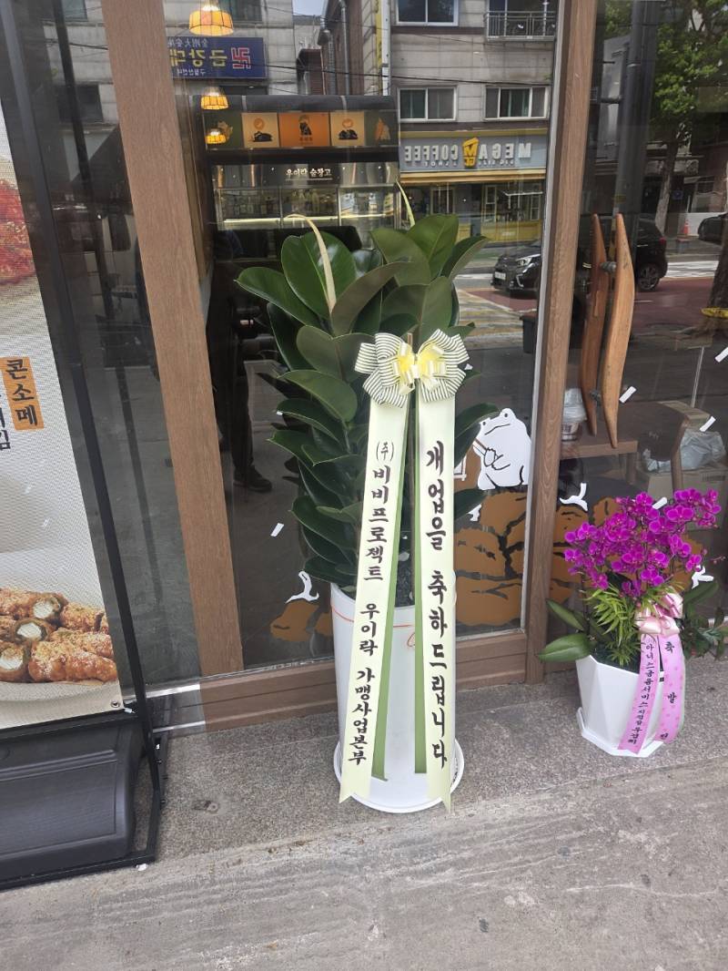 업로드 이미지