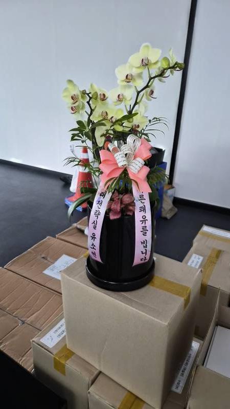 업로드 이미지