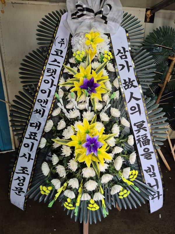 업로드 이미지