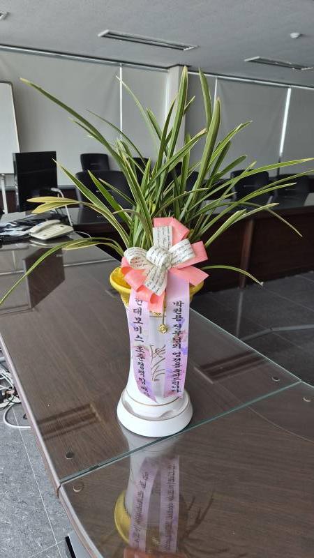 업로드 이미지