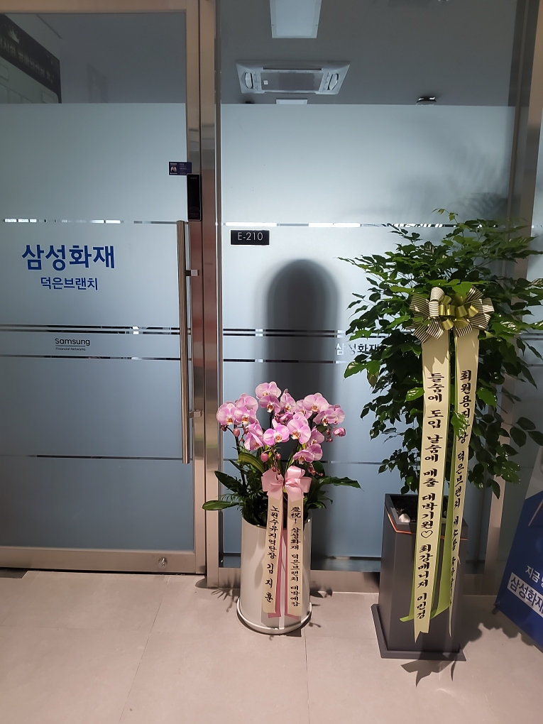 업로드 이미지