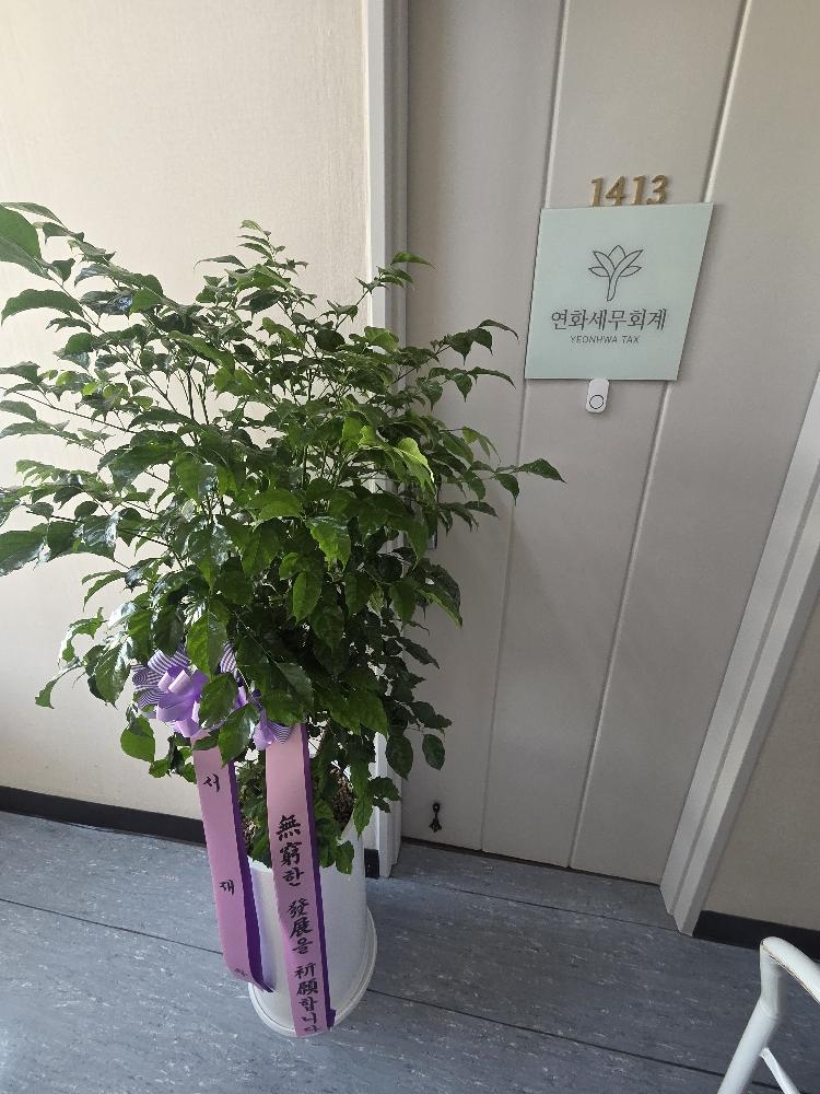 업로드 이미지