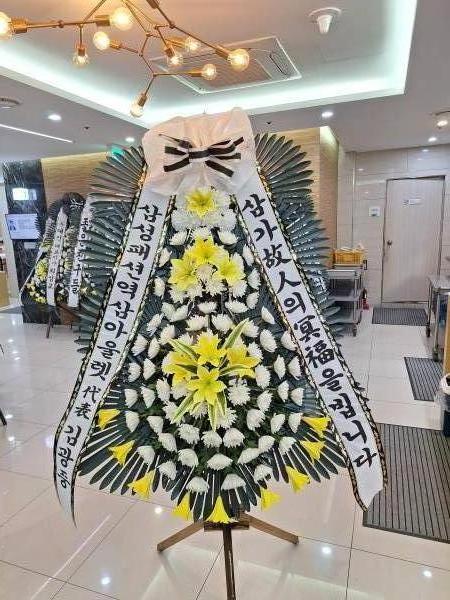 업로드 이미지