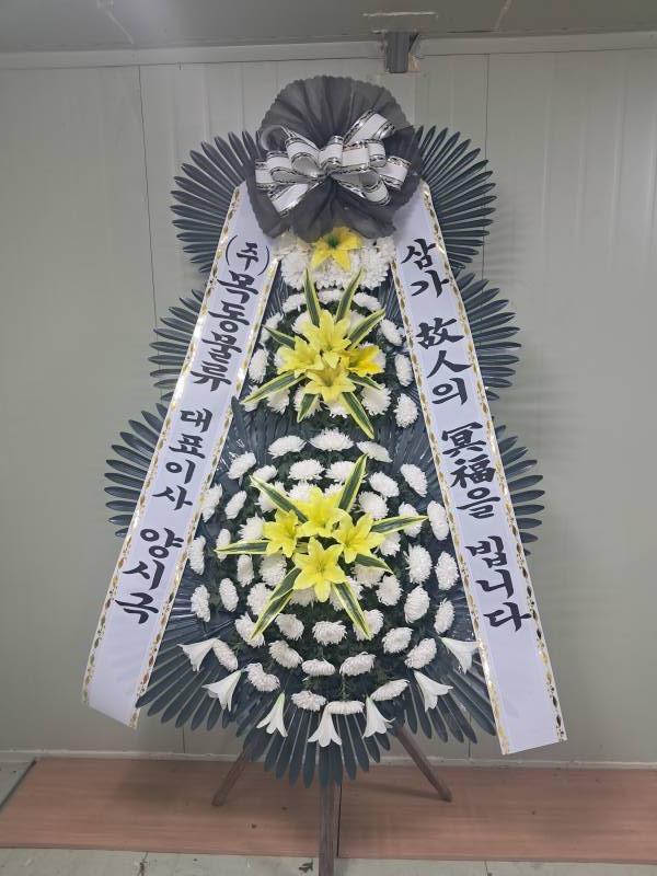 업로드 이미지