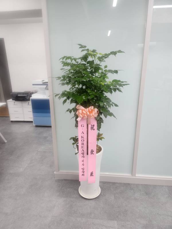 업로드 이미지
