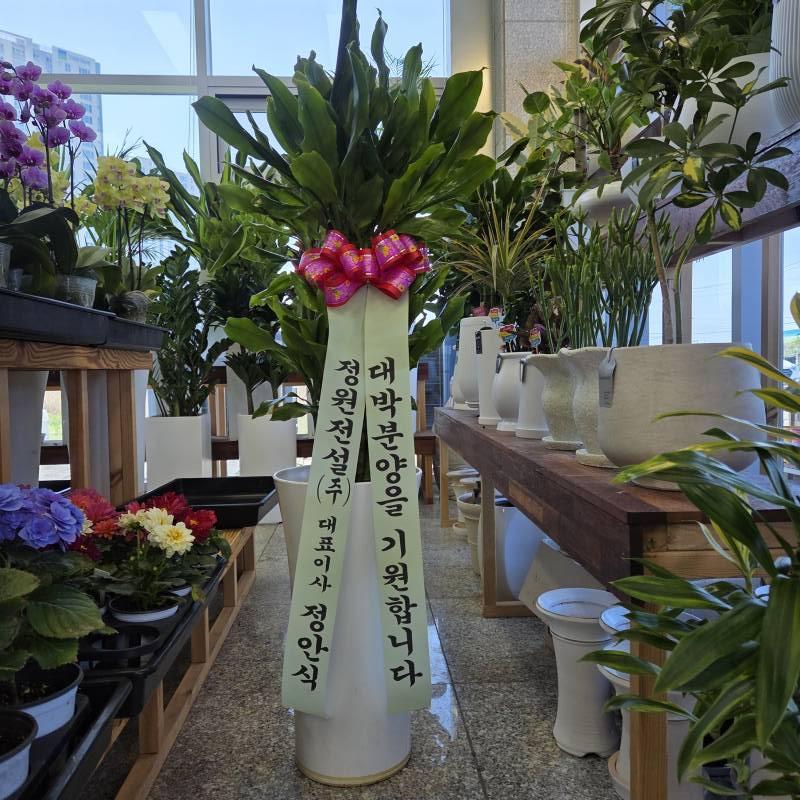 업로드 이미지